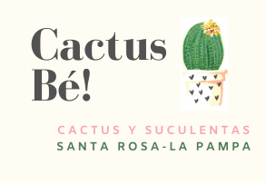 Cactus Bé!