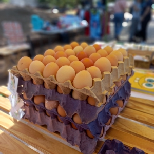 Huevos de gallinas libres (Agroecológicos)